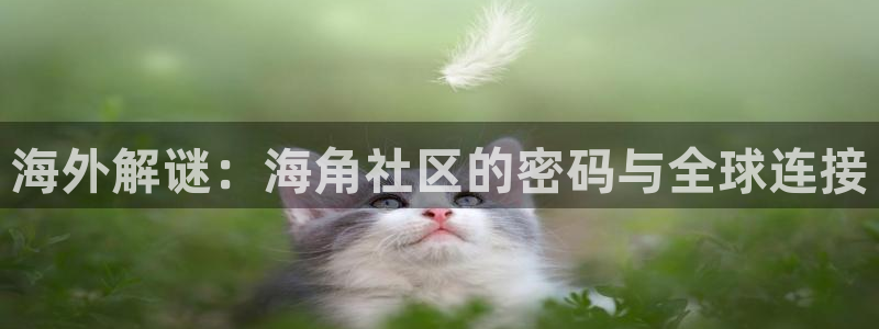 有没有和海角社区一样的