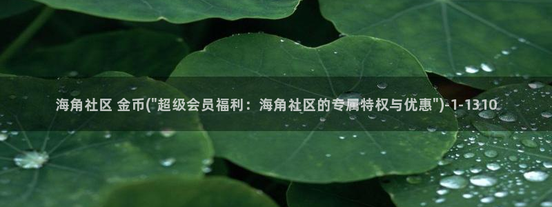 海角社区安卓APP：海角社区 金币(\