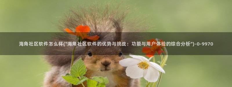 shsjsj 海角社区：海角社区软件怎么样(\