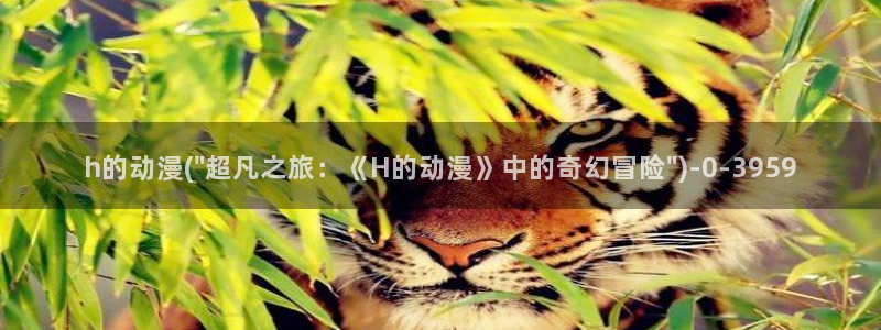 动漫排行榜：h的动漫(\
