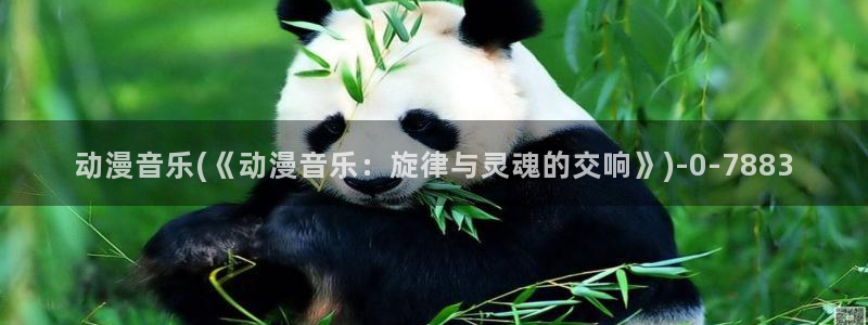 动漫肉片：动漫音乐(《动漫音乐：旋律与灵魂的交响》)