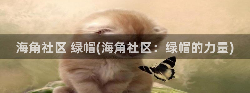 涿州海角社区：海角社区 绿帽(海角社区：绿帽的力量)