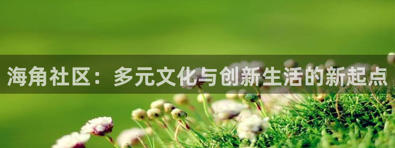 海角社区502：海角社区：多元文化与创新生活的新起点