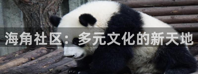 hj0c1海角社区最新：海角社区：多元文化的新天地