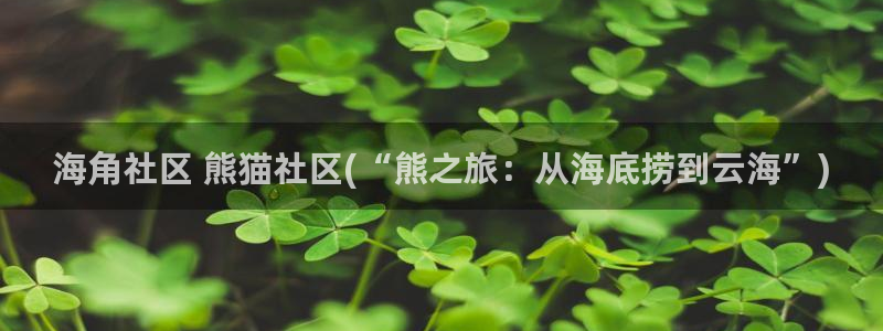 海角社区首页在线登录：海角社区 熊猫社区(“熊之旅：从海底捞到云海”)
