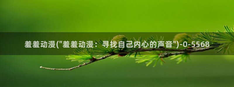 看动漫